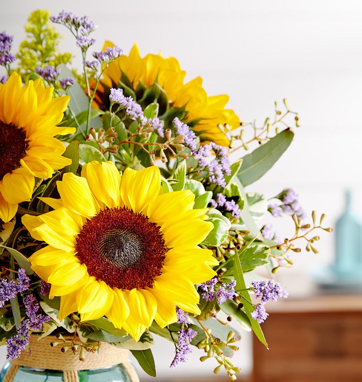 Sunshine & Happiness™ by Real Simple®